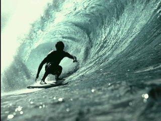 surfingdude.jpg